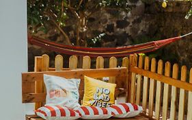 Lemon Tree Rooms