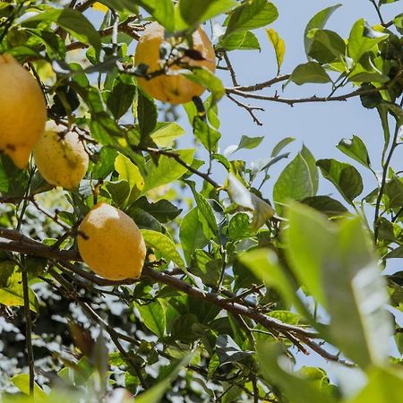 Lemon Tree Rooms Barano dʼIschia Esterno foto
